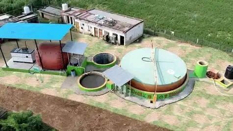 Project Image 6